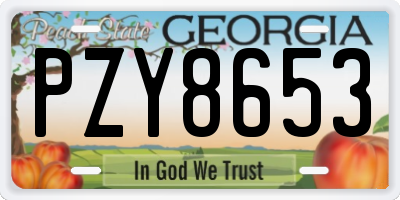 GA license plate PZY8653