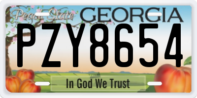 GA license plate PZY8654