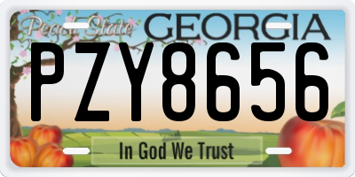 GA license plate PZY8656