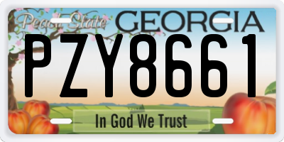 GA license plate PZY8661