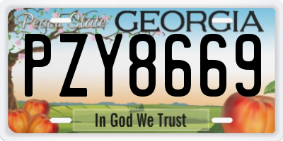 GA license plate PZY8669