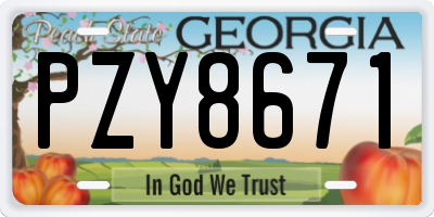 GA license plate PZY8671