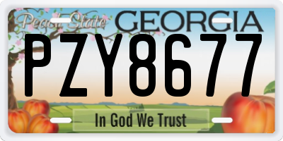 GA license plate PZY8677