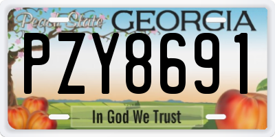 GA license plate PZY8691