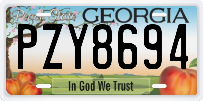 GA license plate PZY8694