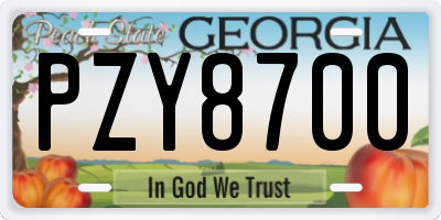 GA license plate PZY8700