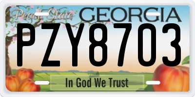 GA license plate PZY8703