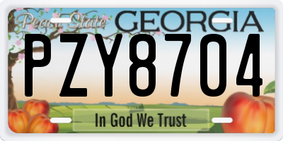 GA license plate PZY8704