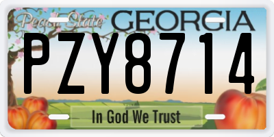 GA license plate PZY8714