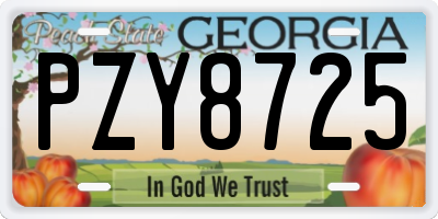 GA license plate PZY8725