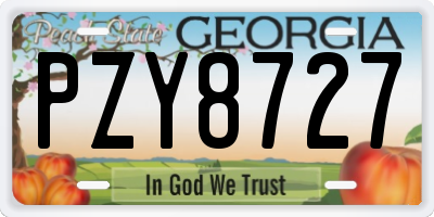 GA license plate PZY8727