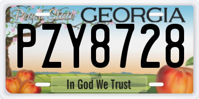GA license plate PZY8728