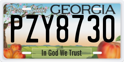 GA license plate PZY8730
