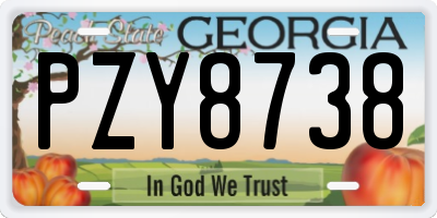 GA license plate PZY8738