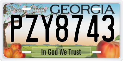 GA license plate PZY8743