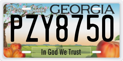 GA license plate PZY8750