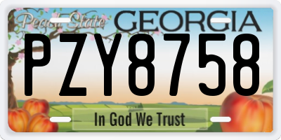GA license plate PZY8758