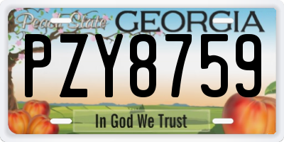 GA license plate PZY8759