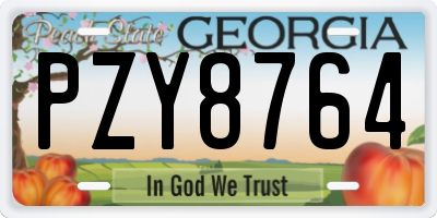GA license plate PZY8764