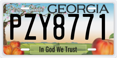 GA license plate PZY8771