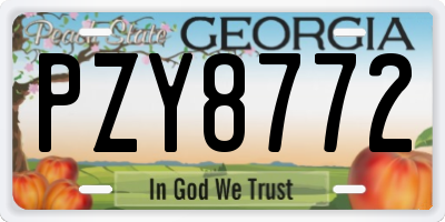 GA license plate PZY8772