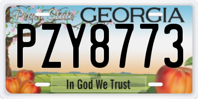 GA license plate PZY8773