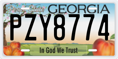 GA license plate PZY8774