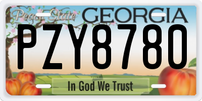 GA license plate PZY8780