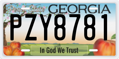 GA license plate PZY8781