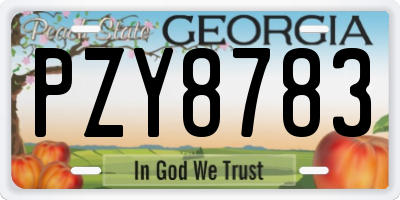 GA license plate PZY8783