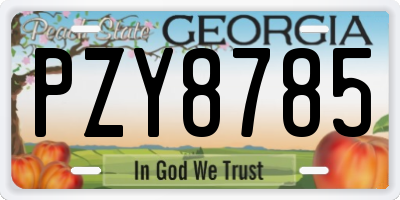 GA license plate PZY8785