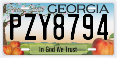 GA license plate PZY8794