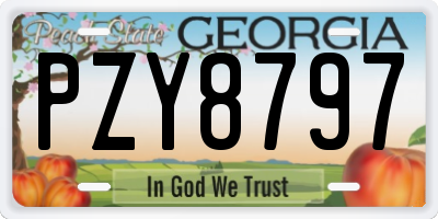 GA license plate PZY8797
