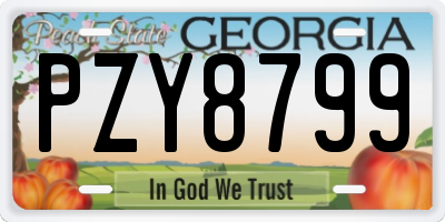 GA license plate PZY8799