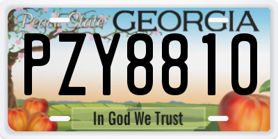 GA license plate PZY8810