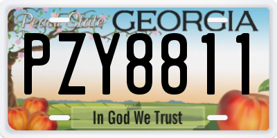 GA license plate PZY8811