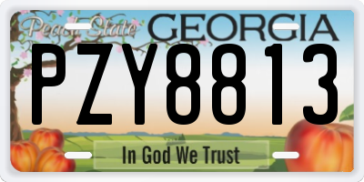 GA license plate PZY8813