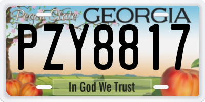 GA license plate PZY8817