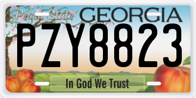 GA license plate PZY8823