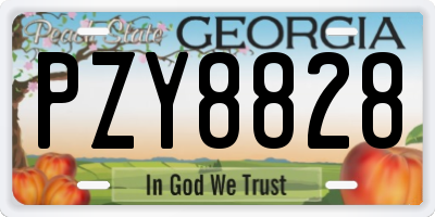 GA license plate PZY8828