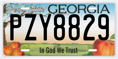 GA license plate PZY8829