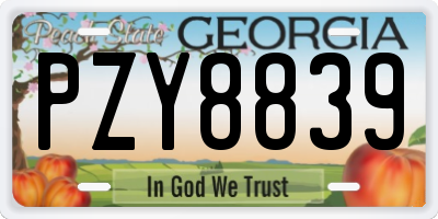 GA license plate PZY8839