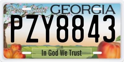 GA license plate PZY8843