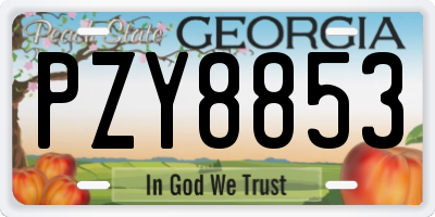 GA license plate PZY8853