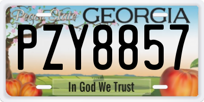 GA license plate PZY8857