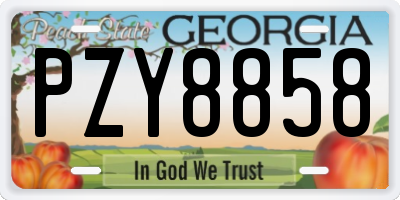 GA license plate PZY8858