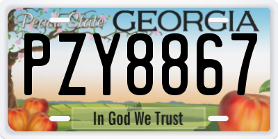 GA license plate PZY8867