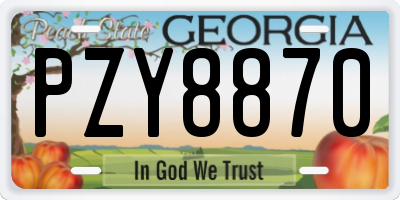 GA license plate PZY8870