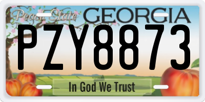 GA license plate PZY8873