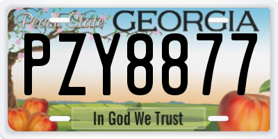 GA license plate PZY8877